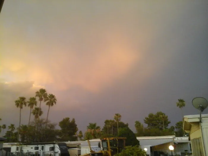 Friendly Village Picture 10