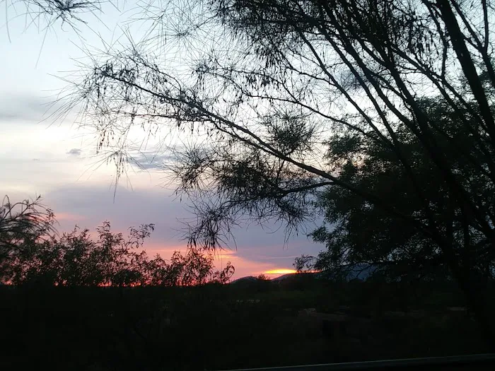 Cadillac Mobile Home Park Picture 3