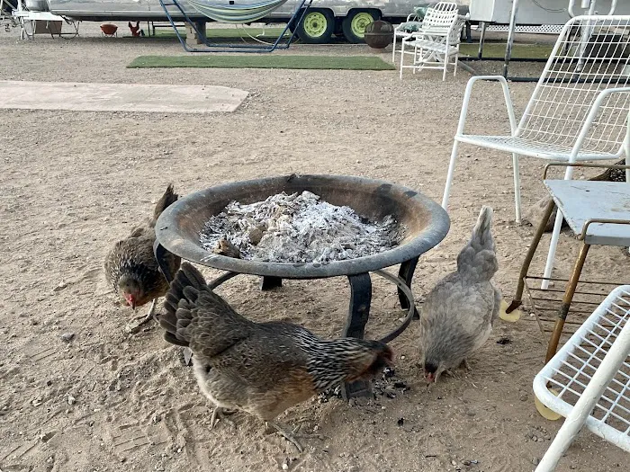 El Pais Motel & Campgrounds Picture 8