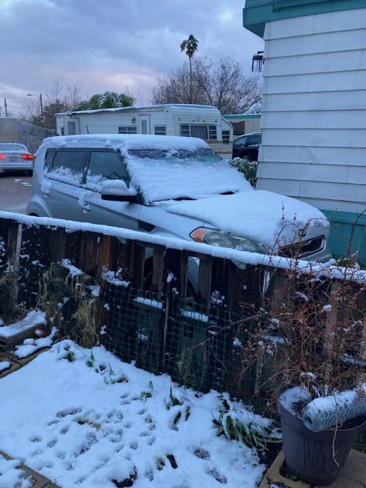 Covered Wagon Picture 2