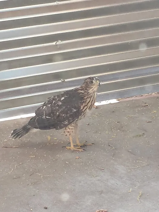 Adobe Manor Mobile Home Park Picture 4