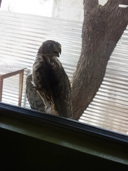 Adobe Manor Mobile Home Park Picture 6