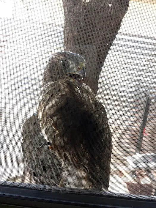 Adobe Manor Mobile Home Park Picture 7