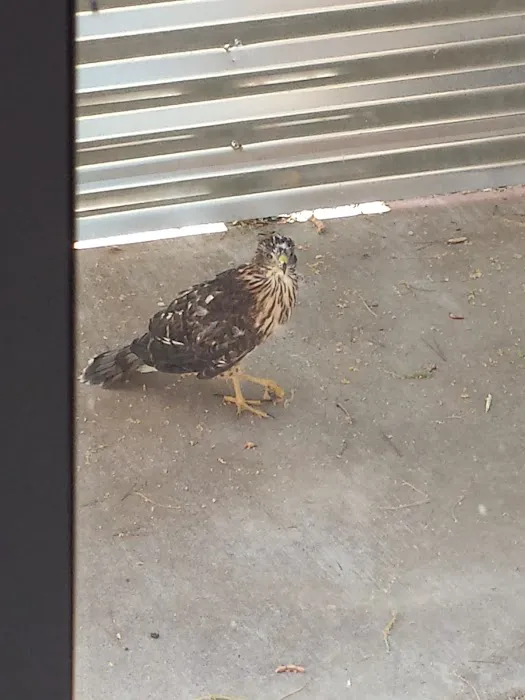 Adobe Manor Mobile Home Park Picture 9