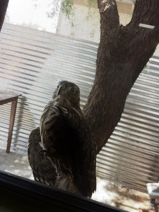 Adobe Manor Mobile Home Park Picture 8