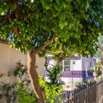 Catalina Heights Mobile Home Park