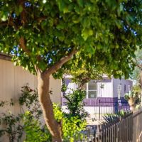 Catalina Heights Mobile Home Park ico