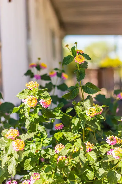 Catalina Heights Mobile Home Park Picture 3