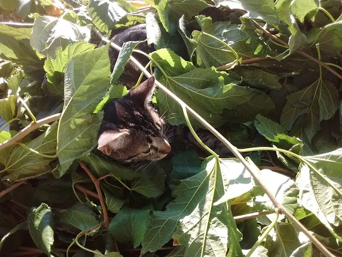 Copper Corridor RV Park Picture 1