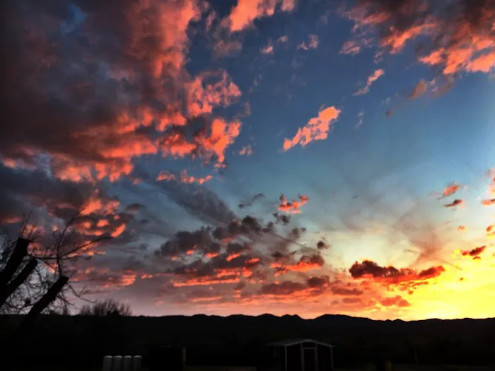 Palo Verde RV Park, LLC Picture 1
