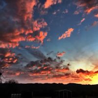 Palo Verde RV Park, LLC ico