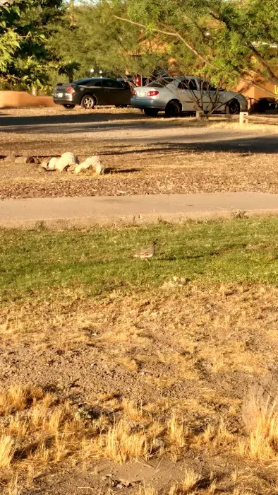 Palo Verde RV Park, LLC Picture 9