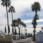 Paradise Village Mobile Estate