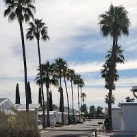 Paradise Village Mobile Estate ico