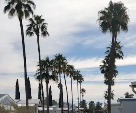 Paradise Village Mobile Estate