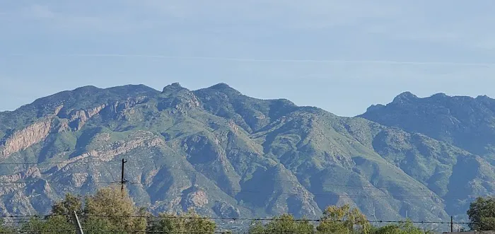 Paradise Village Mobile Estate Picture 4