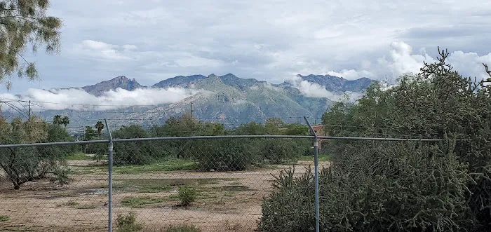 Paradise Village Mobile Estate Picture 6