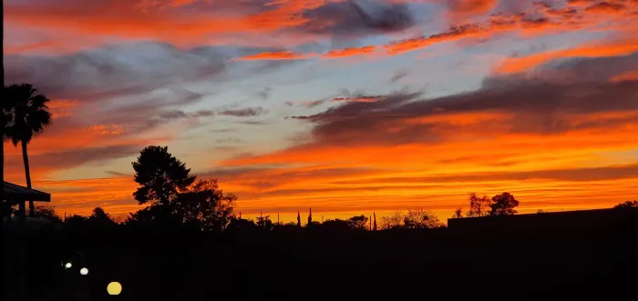 Paradise Village Mobile Estate Picture 8