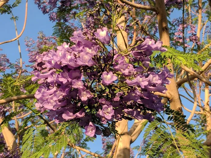 Far Horizons Cooperative Association Picture 4