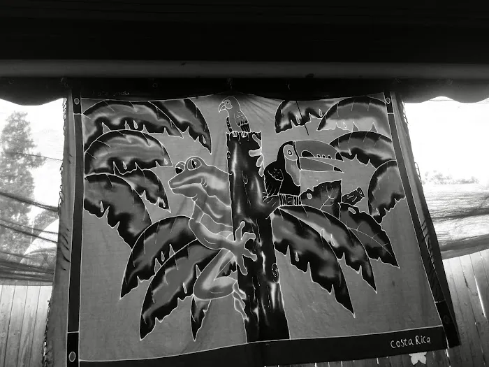 Linda Vista Trailer Park Picture 4