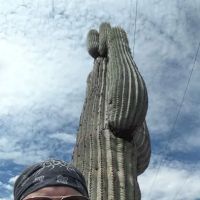 Breezeway MH & RV Park ico