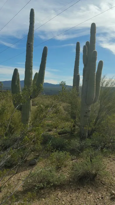 Breezeway MH & RV Park Picture 7