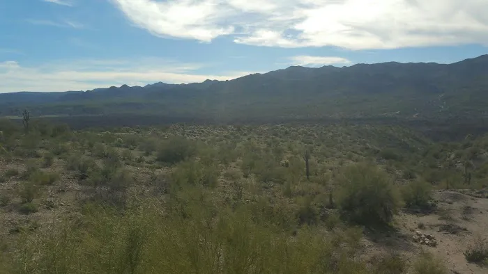 Breezeway MH & RV Park Picture 5