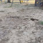 Los Arboles Mobile Home Park