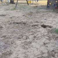 Los Arboles Mobile Home Park ico