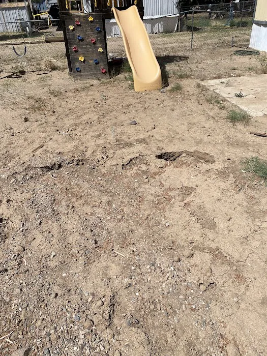 Los Arboles Mobile Home Park Picture 3