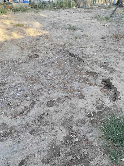 Los Arboles Mobile Home Park Picture 4