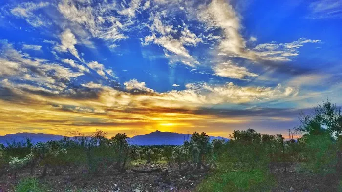 Cactus Country RV Resort Picture 3