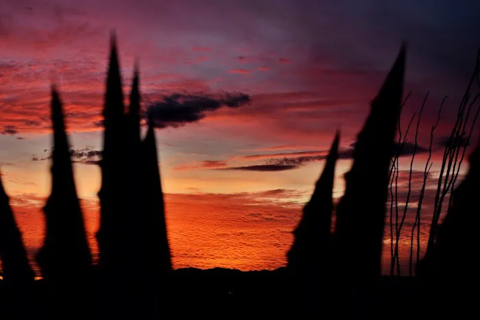 Cactus Country RV Resort Picture 5