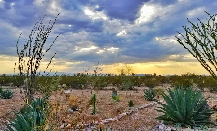 Cactus Country RV Resort Picture 6