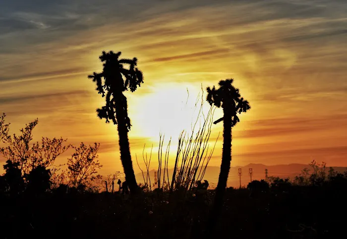 Cactus Country RV Resort Picture 4