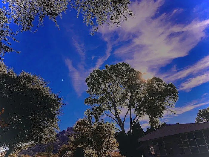 Oaks Mobile Home & RV Park Picture 8