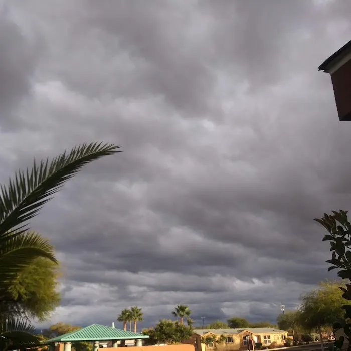 Pantano Vista Picture 8