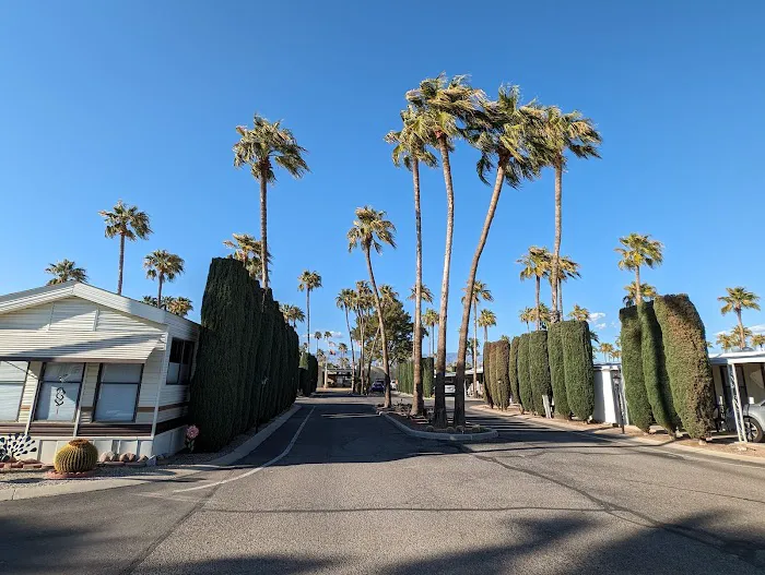 Rincon Country East RV Resort Picture 4