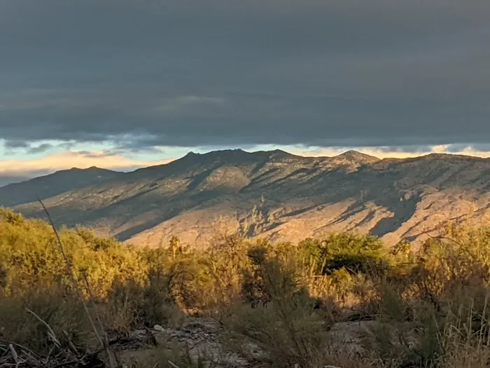 Rincon Country East RV Resort Picture 5