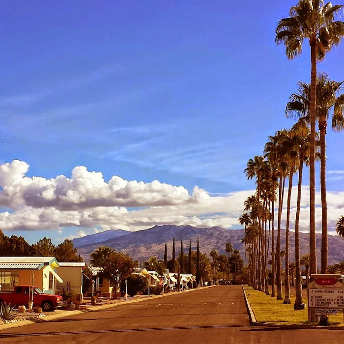 Rincon Country Mobile Home Park Picture 2