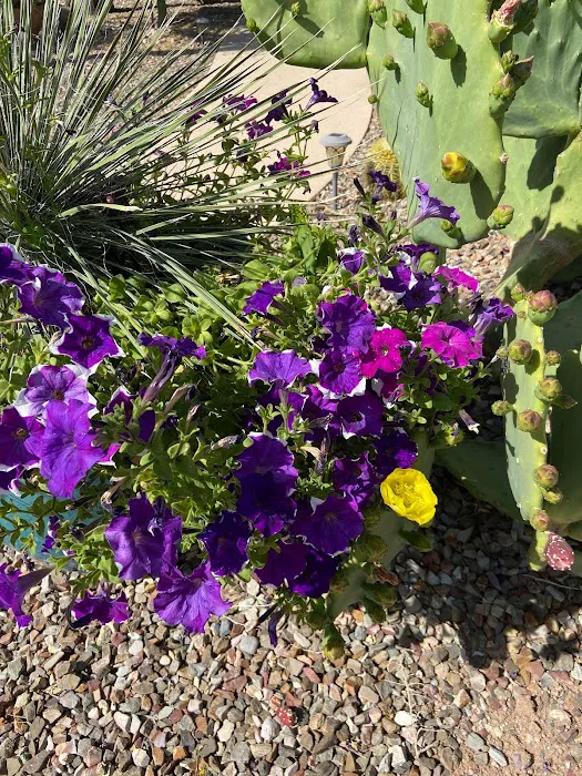 Rincon Country Mobile Home Park Picture 7