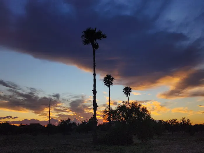 Boneyard Vista RV Park Picture 6