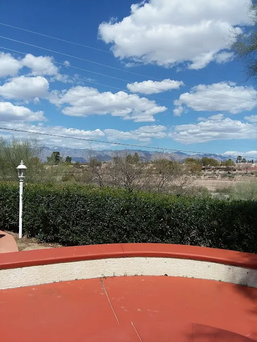 Winter Haven RV Park Picture 4