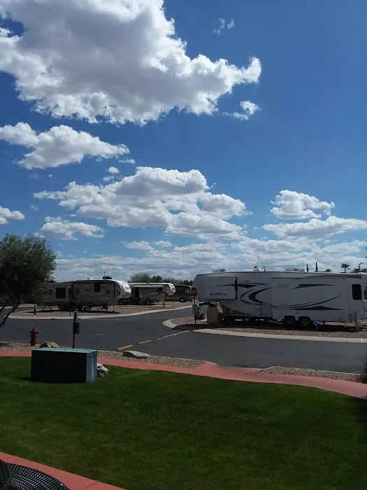 Winter Haven RV Park Picture 5