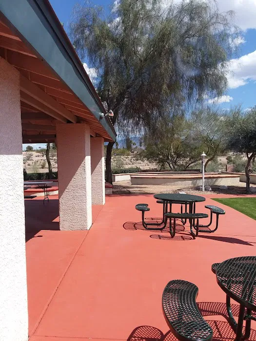 Winter Haven RV Park Picture 7