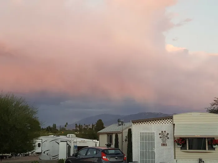 Tucson Meadows Mobile Home Park Picture 5