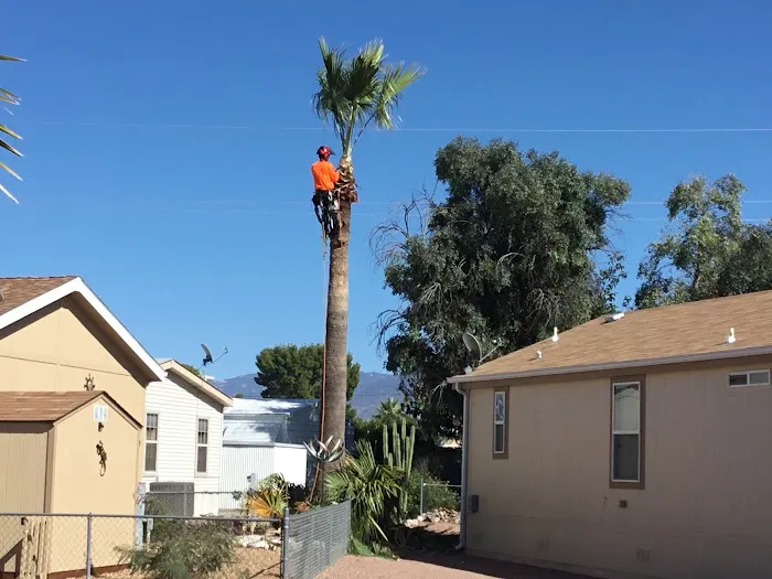 Tucson Meadows Mobile Home Park Picture 10
