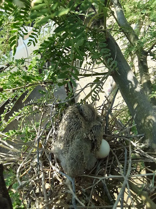 August Hills Picture 3