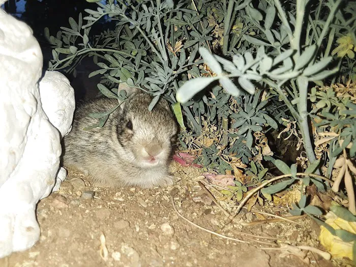 August Hills Picture 1