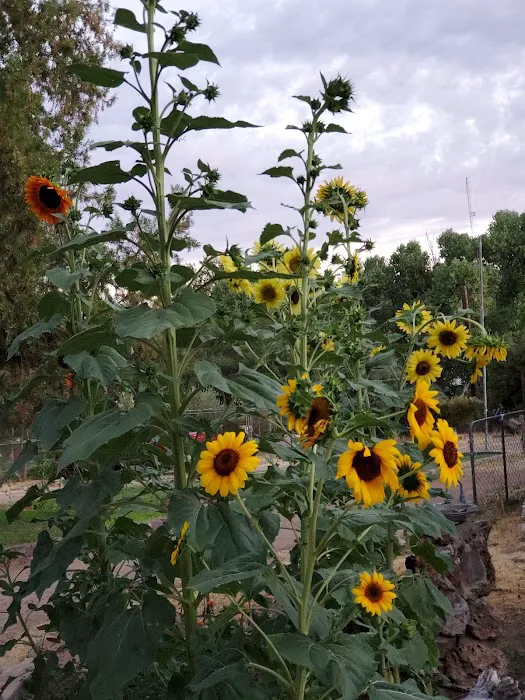 HAV PROPERTIES/Palmer's MHP Picture 2